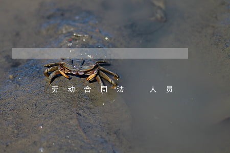 劳动合同法 人员 劳动合同法 人员